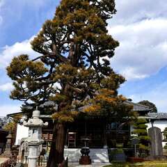 投稿日:2025年2月7日 写真