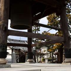 投稿日:2025年2月7日 写真