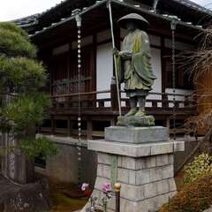 投稿日:2025年2月7日 写真