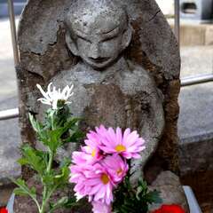 投稿日:2025年2月7日 写真