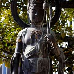 投稿日:2025年2月7日 写真