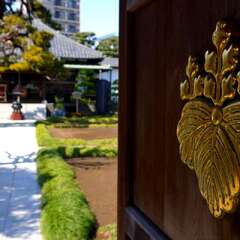 投稿日:2025年3月22日 写真