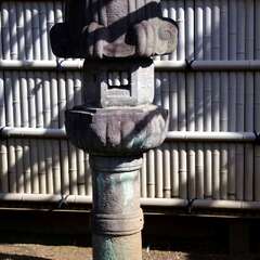 投稿日:2025年2月7日 写真