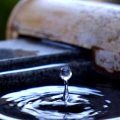 投稿日:2025年3月22日 写真