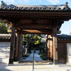 投稿日:2023年12月17日 写真