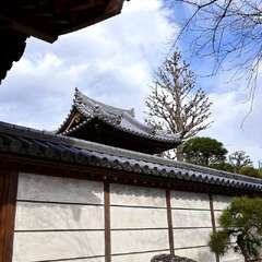 投稿日:2025年2月7日 写真