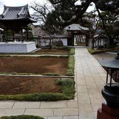 投稿日:2025年2月7日 写真