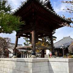 投稿日:2025年2月7日 写真