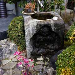 投稿日:2025年2月7日 写真