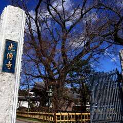 投稿日:2025年2月7日 写真