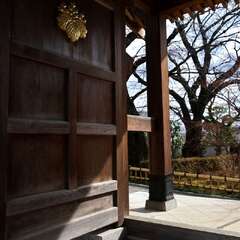 投稿日:2025年2月7日 写真