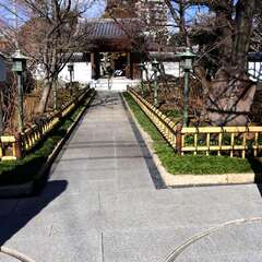 投稿日:2025年2月7日 写真