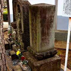 投稿日:2025年2月7日 写真