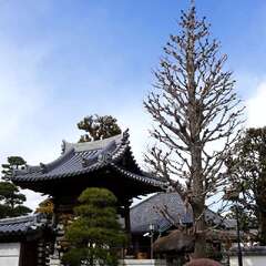 投稿日:2025年2月7日 写真