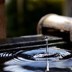 投稿日:2025年2月7日 写真