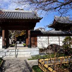 投稿日:2025年2月7日 写真