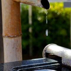 投稿日:2025年2月7日 写真