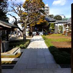 投稿日:2025年2月7日 写真