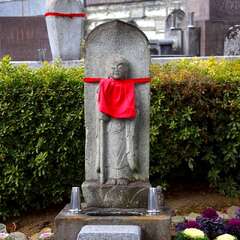 投稿日:2025年2月7日 写真