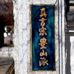 投稿日:2025年2月7日 写真