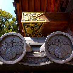 投稿日:2025年3月22日 写真