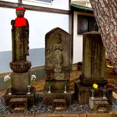 投稿日:2025年2月7日 写真