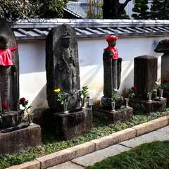 投稿日:2025年2月7日 写真