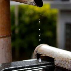 投稿日:2025年2月7日 写真