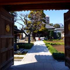 投稿日:2025年3月22日 写真