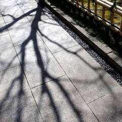 投稿日:2025年2月7日 写真