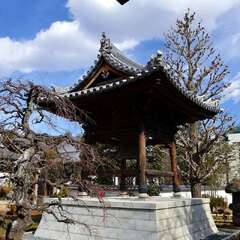 投稿日:2025年2月7日 写真