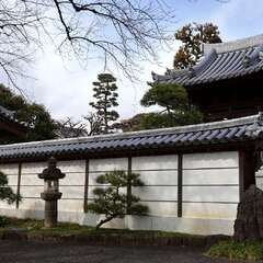 投稿日:2025年2月7日 写真