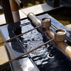 投稿日:2025年2月7日 写真