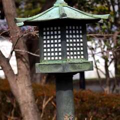 投稿日:2025年2月7日 写真