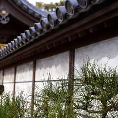 投稿日:2025年2月7日 写真