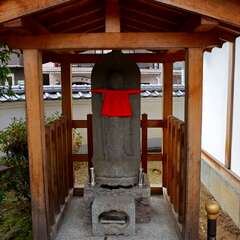 投稿日:2025年2月7日 写真