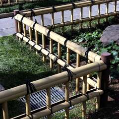 投稿日:2025年2月7日 写真