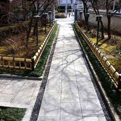 投稿日:2025年2月7日 写真