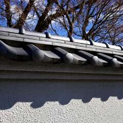 投稿日:2025年2月7日 写真