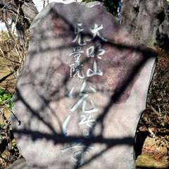 投稿日:2025年2月7日 写真