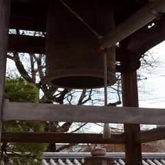 投稿日:2025年2月7日 写真