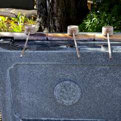 投稿日:2025年2月7日 写真