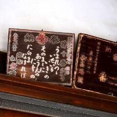 投稿日:2025年2月7日 写真