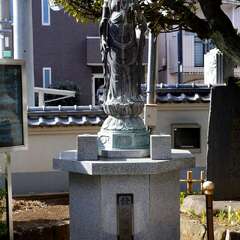 投稿日:2025年2月7日 写真