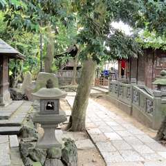 投稿日:2016年5月19日 写真