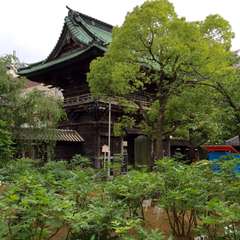 投稿日:2016年5月19日 写真