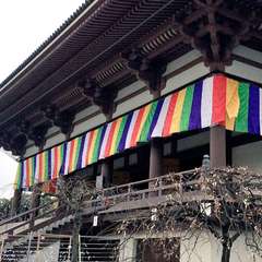 投稿日:2015年3月30日 写真