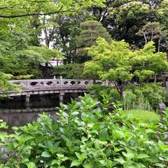 投稿日:2016年5月19日 写真