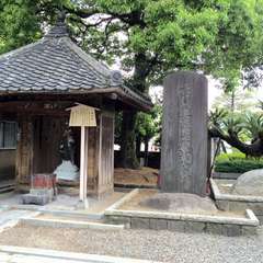 投稿日:2016年5月19日 写真