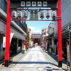 投稿日:2025年7月27日 写真